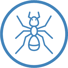 ant pest control services ipswich area qld 4305