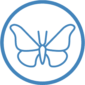 carpet moth pest control services ipswich area qld 4305