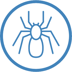 spider pest control services ipswich area qld 4305